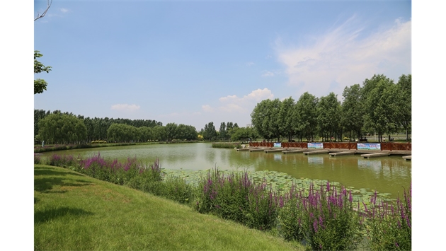 標題：包頭市民公園
瀏覽次數(shù)：1775
發(fā)表時間：2020-10-16