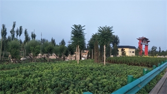 標題：張家口經(jīng)開區(qū)腰站堡飲用水源地生態(tài)涵養(yǎng)綠化
瀏覽次數(shù)：2733
發(fā)表時間：2020-10-16