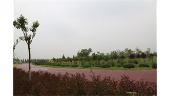 標題：大青山南坡生態(tài)修復
瀏覽次數(shù)：2246
發(fā)表時間：2020-10-16