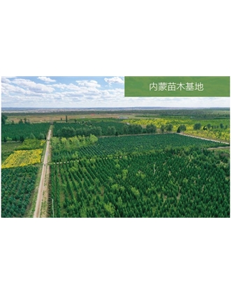 標(biāo)題：苗木基地
瀏覽次數(shù)：2146
發(fā)表時(shí)間：2020-10-17