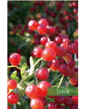 標(biāo)題：名貴樹種
瀏覽次數(shù)：1594
發(fā)表時間：2020-10-17