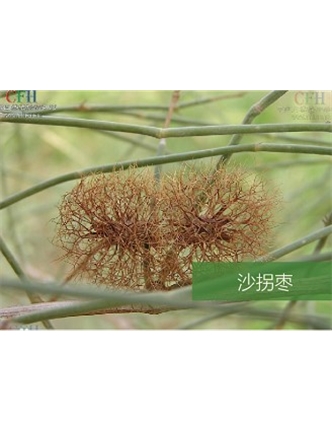 標(biāo)題：名貴樹種
瀏覽次數(shù)：1594
發(fā)表時(shí)間：2020-10-17