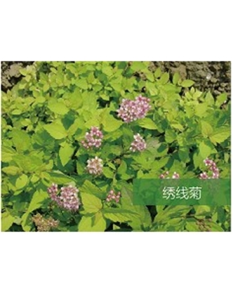 標題：喬灌木
瀏覽次數(shù)：1694
發(fā)表時間：2020-10-17