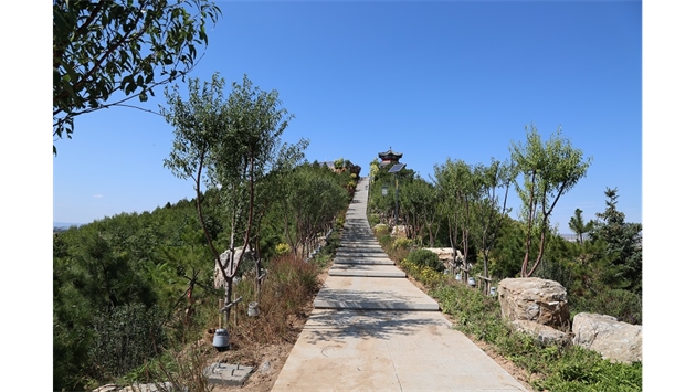 標(biāo)題：張家口太子山山體修復(fù)
瀏覽次數(shù)：18470
發(fā)表時(shí)間：2020-11-12